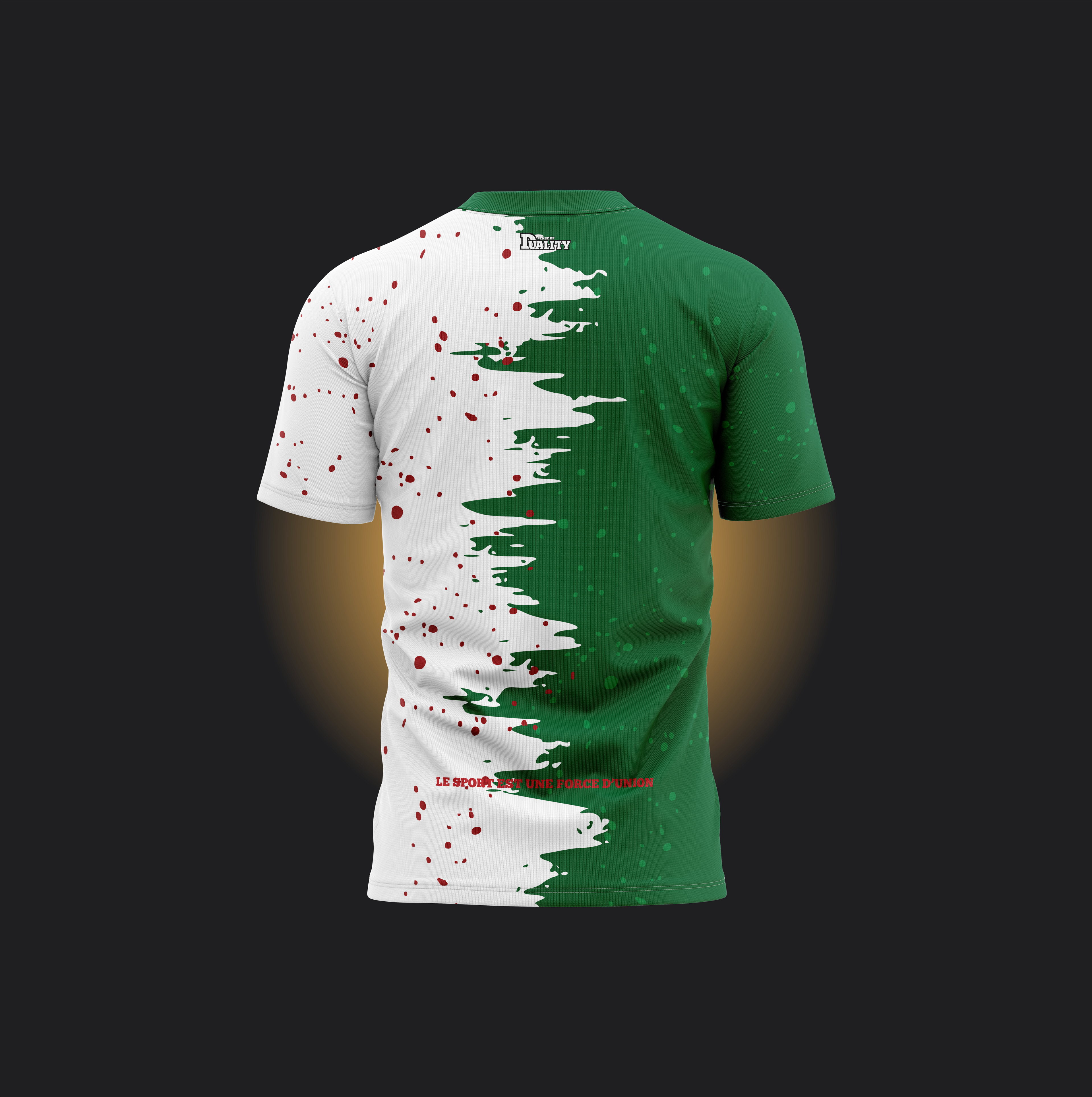 Maillot Binational - Tunisie Algérie SENSE OF DUALITY
